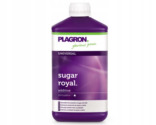 01c3880bbbd506449ac02112402486d5