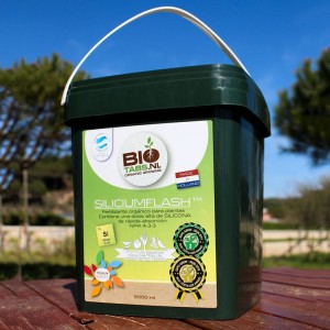 BioTabs Silicum Flash 9000ml
