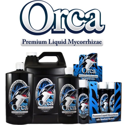 orca-mokogrow.jpg