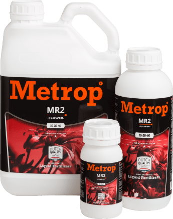 pol_pl_Metrop-MR-2-Bloom-kwitnienie-3969_2.png
