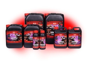 SHOGUN SAMURAI COCO AB 5L