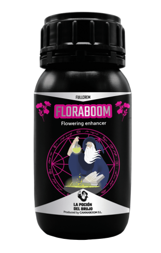 2383c55e70ba7db0b37998c48a5e245f