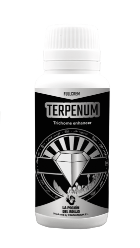 544dbb70c13b068ee785243ccc79d261