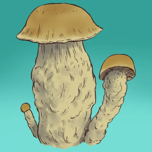 growkit melmack