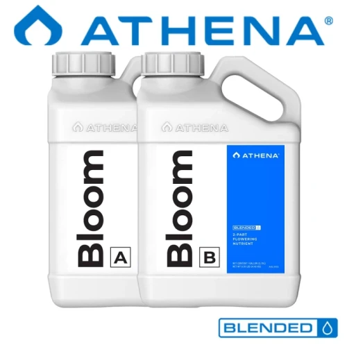 pol_pl_Athena-Bloom-do-fazy-kwitnienia-roslin-owocujacych-i-kwitnacych-5798_1.webp