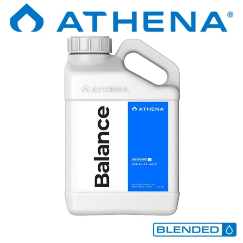 pol_pl_Athena-Balance-do-buforowania-roztworow-5796_1.webp