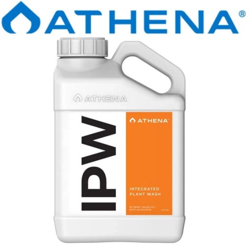 Athena-IPW-3,79.jpg
