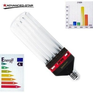 Żarówka CFL ProStar Kwitnienie 200W 2100°K