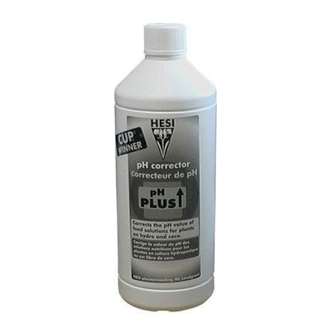 42a1aa7a140ad58f2c1ddaddc8b8101f