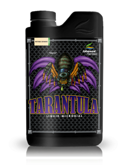 69ed34ff24a9607a8878c06bc9c83aac