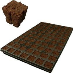 7bfcd3a0edcde299b1052dbc7179c081