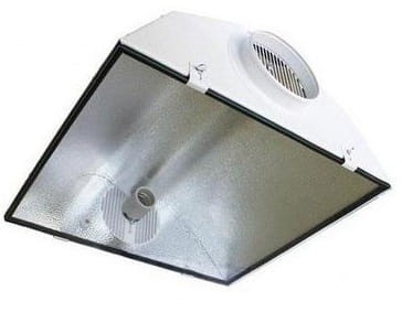 919579d5cfd64f1222bd95dd6be69018