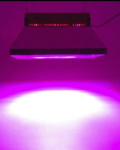 Phytolite GX100 - odbłyśnik koncentrujący