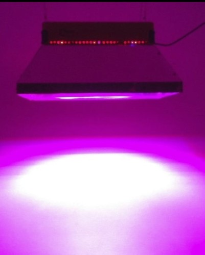 a12816079b8ef2a15687bb2d56561a51