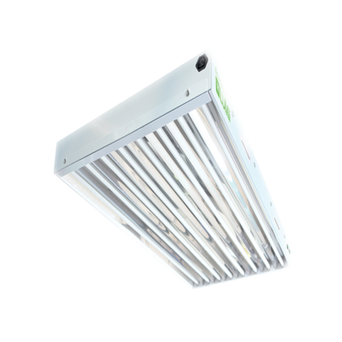 a3bc3542c5e6f8d3ff8f4af53618112e