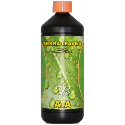 b35323e76fa5ef65c4e0c669208b1259