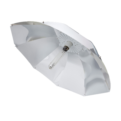 bb85705c141e924ba2cd4c353fa63844