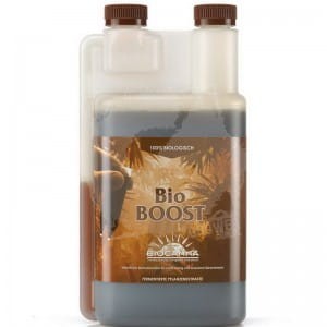 e187d481e09d84ad9b48810fa3f41aa9