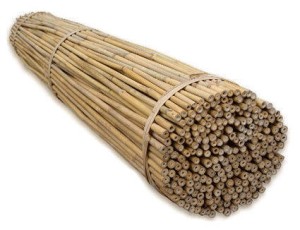 Tyczki bambusowe 10 szt. 120cm