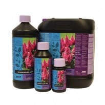 B'CUZZ BLOSSOM BUILDER, 250ml/0,25L STYMULATOR ZWIĘKSZAJĄCY MASĘ I WIELKOŚC KWIATÓW, ATAMI